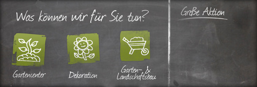Produktkategorien und Aktionen